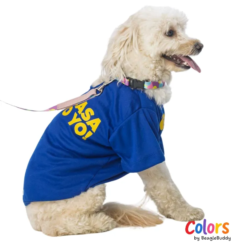 Camiseta Azul MANDO YO - BeagleBuddy