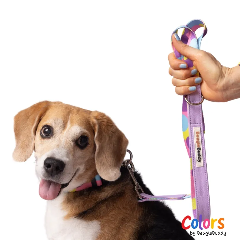 Correa en cuero vegano y reata Ref. LUNA - BeagleBuddy
