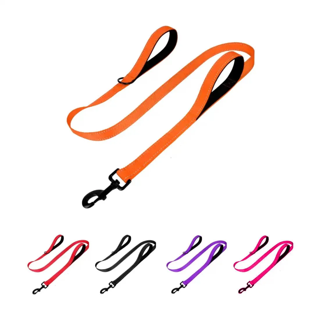 Dog Leash - BeagleBuddy