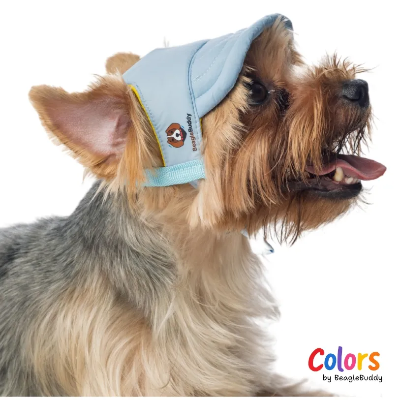 Gorra Azul Claro - BeagleBuddy