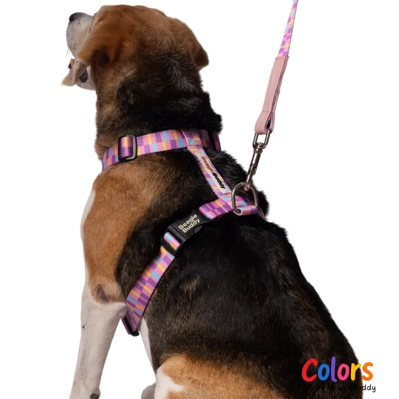 H-Style Dog Harness - BeagleBuddy