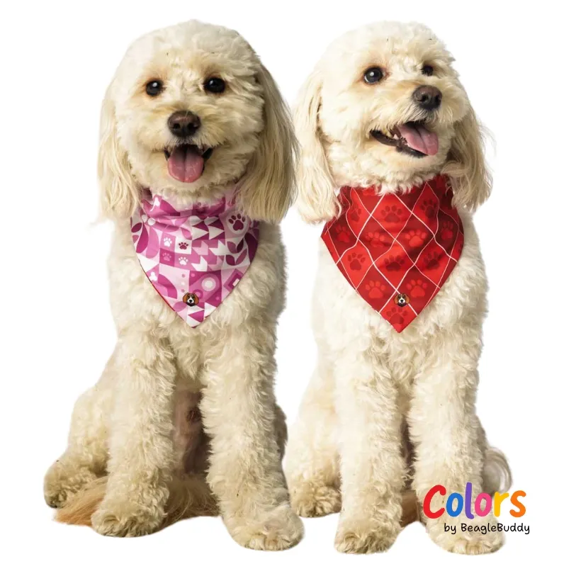 Pañoleta Mix - BeagleBuddy