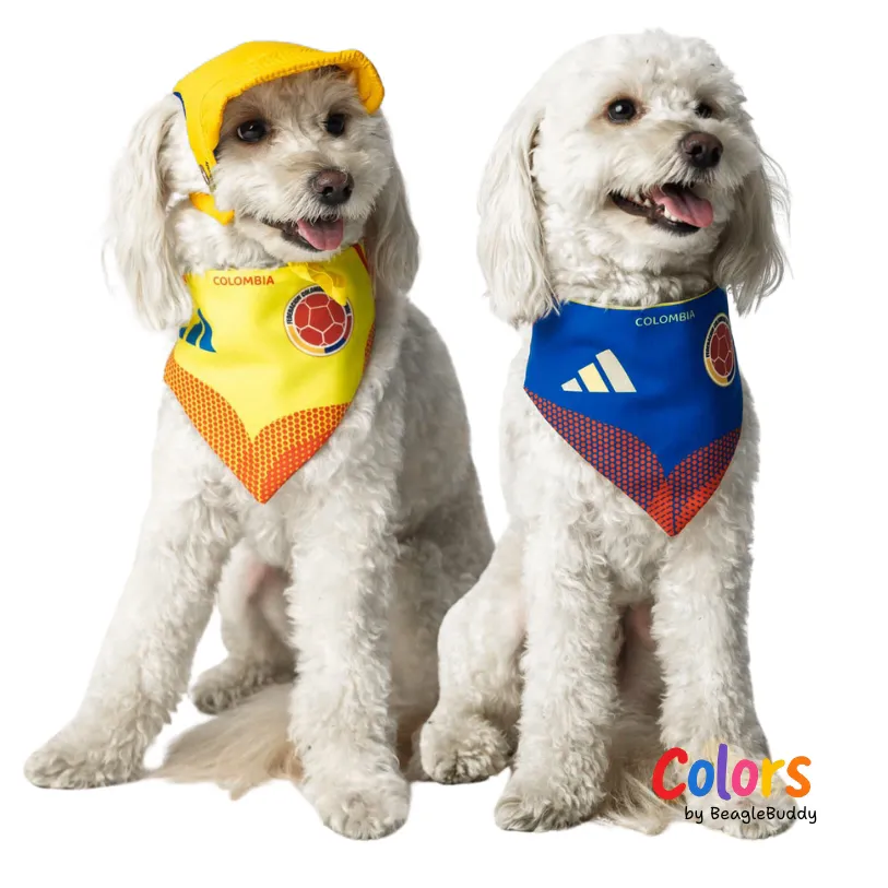 Pañoleta Selección - BeagleBuddy